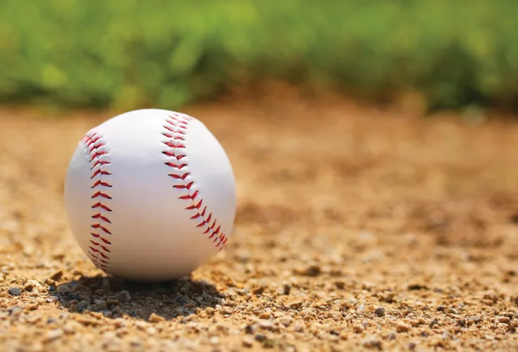 Appleman honored at baseball picnic